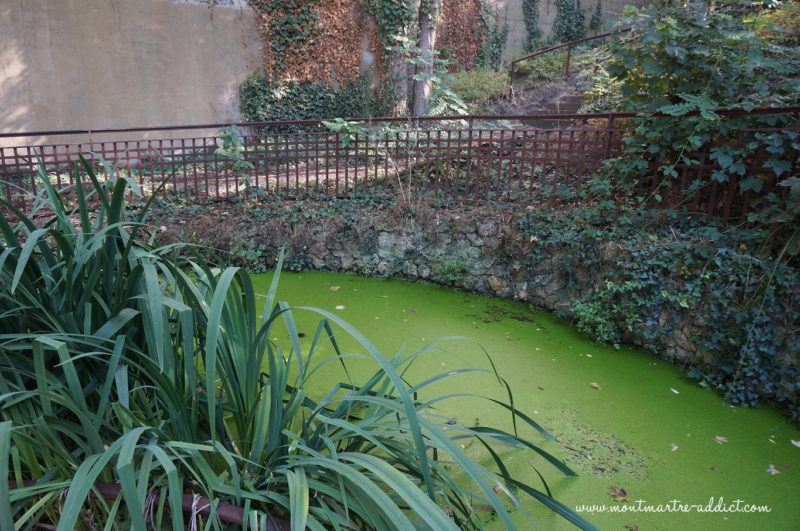 montmartre jardin_saint-vincent-01