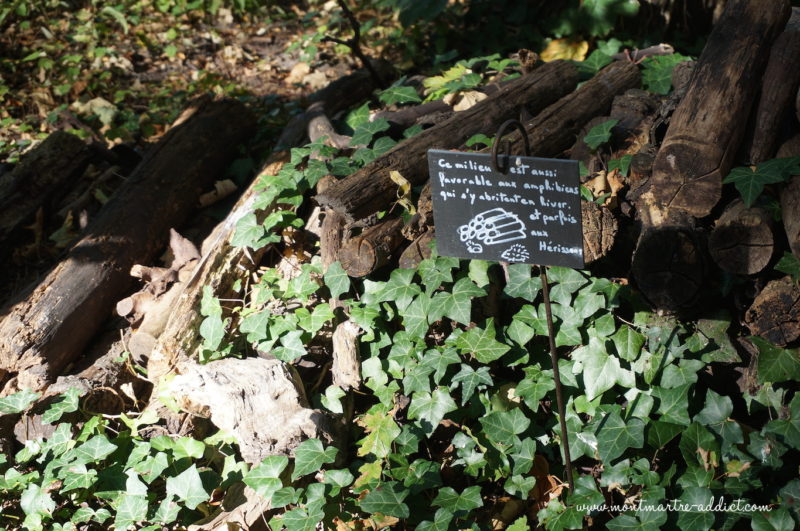 montmartre jardin_saint-vincent-02