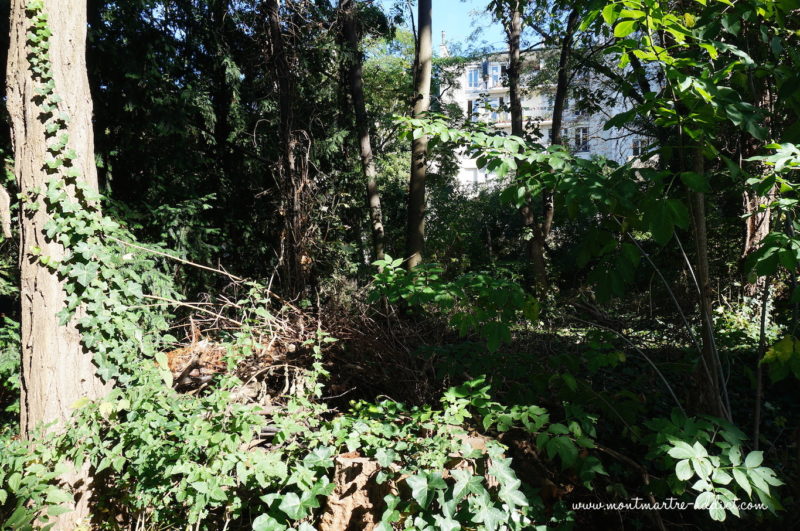 montmartre jardin_saint-vincent-05