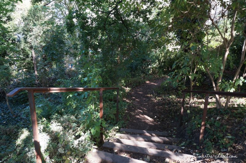 montmartre jardin_saint-vincent-06