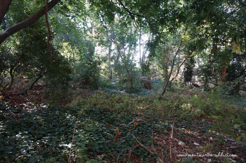 montmartre jardin_saint-vincent-07