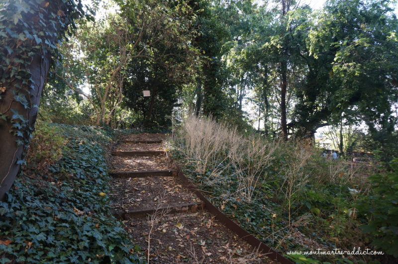 montmartre jardin_saint-vincent-10