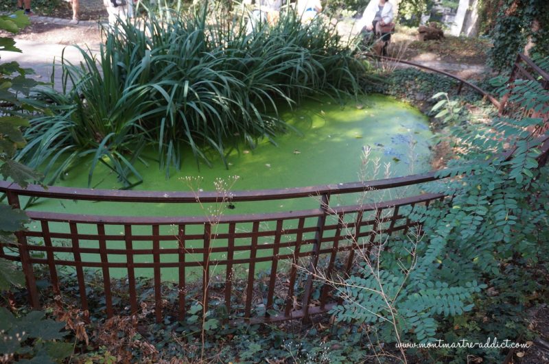 montmartre jardin_saint-vincent-13