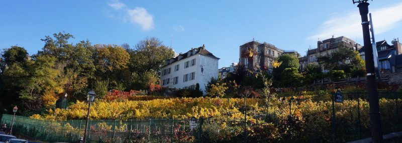 vignes-clos-montmartre-histoire