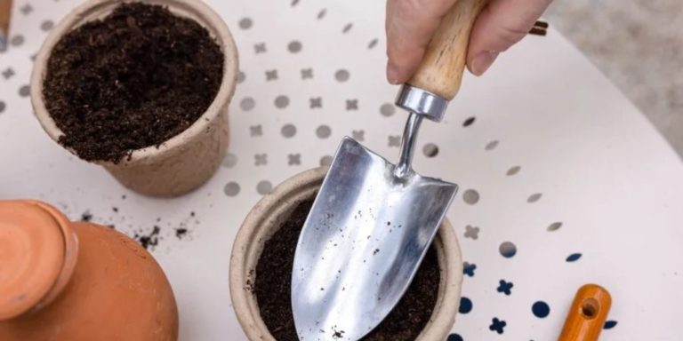 wecandoo montmartre jessica