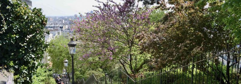 printemps montmartre